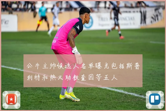 公牛主帅候选人名单曝光包括斯普利特和热火助教奎因等五人